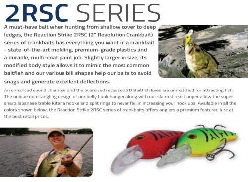 REACTION STRIKE:2RC 4.0