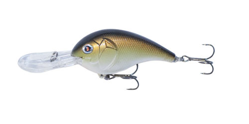 Copper Green Shad 