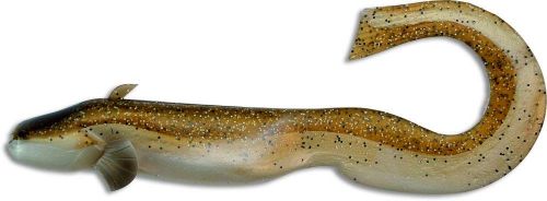 34g 18cm Baby Cat real cat 2pcs