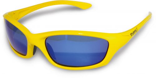 Sunglasses Buster