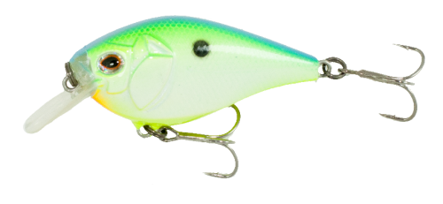 Citrus Shad 