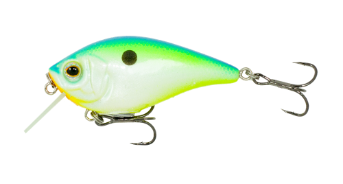Citrus Shad 