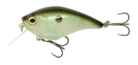 Click to enlarge