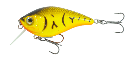Orange Belly Craw 