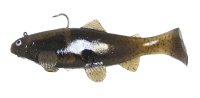 CASTAIC:SBT 4