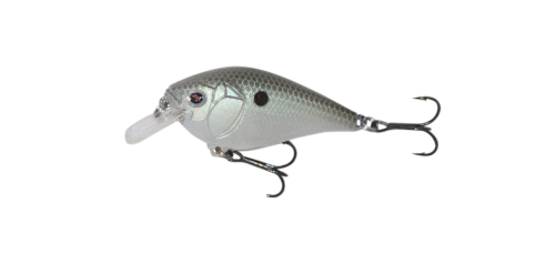 Green Gizzard Shad 