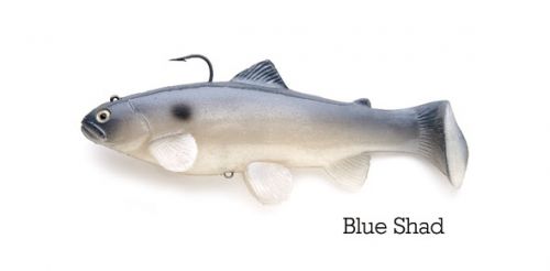 CASTAIC:SBT 4