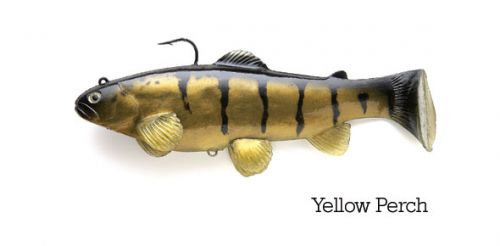CASTAIC:SBT 4